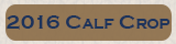Calf Crop